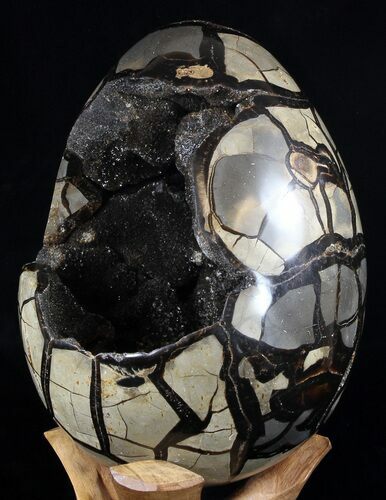 Huge, Septarian Dragon Egg Geode - Crystal Filled #37368